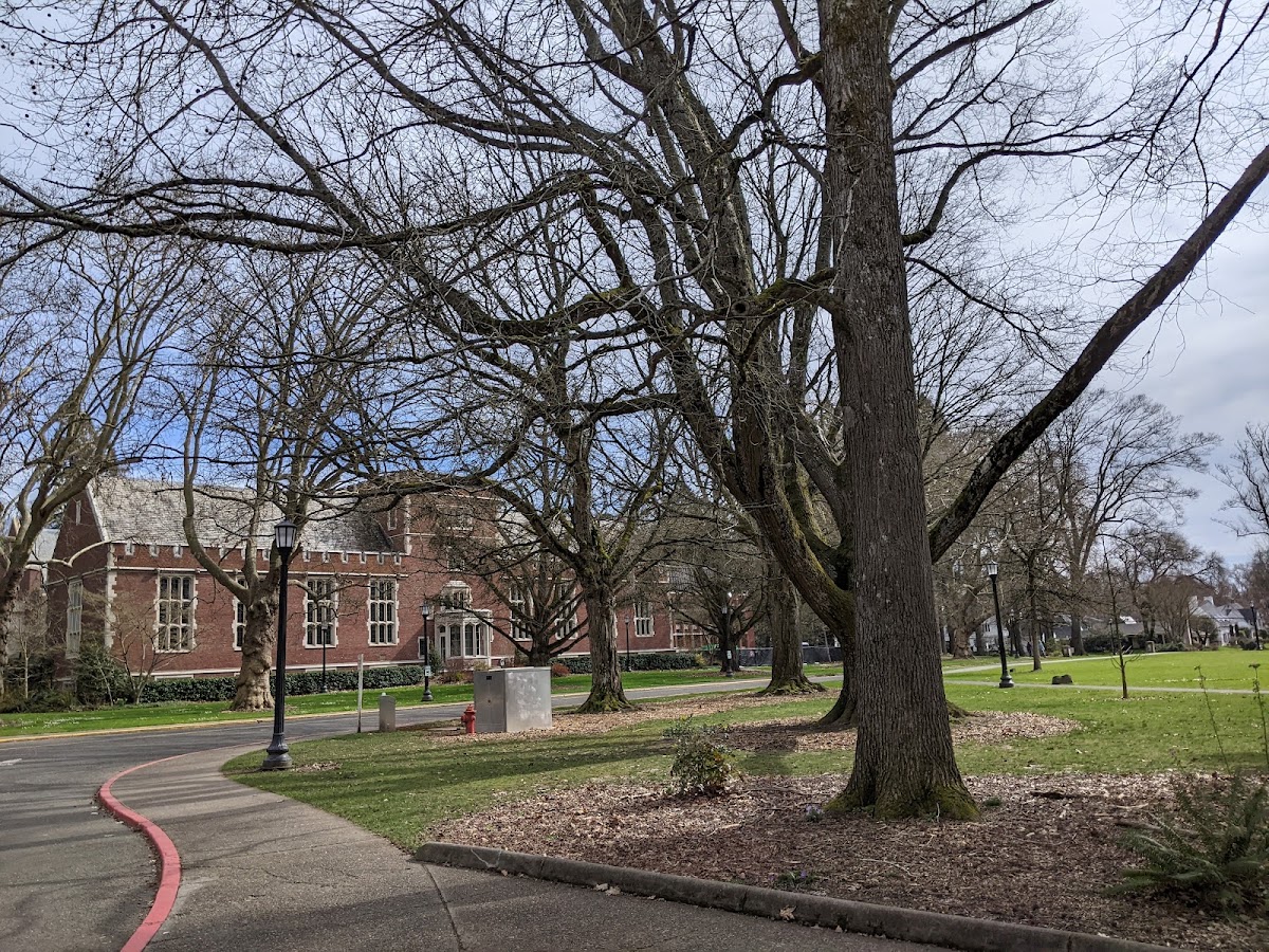 Reed College photo 3