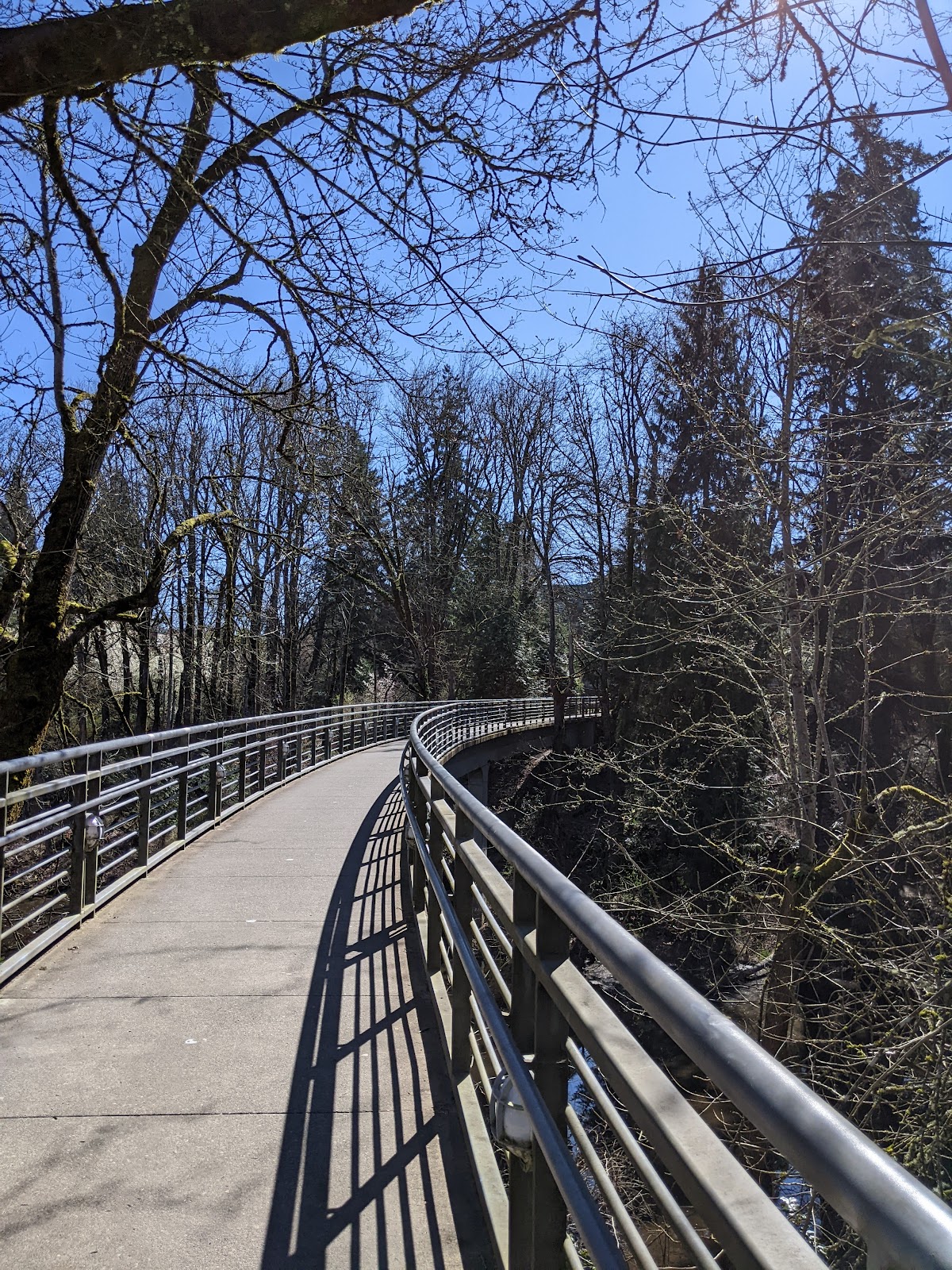 Reed College photo 7