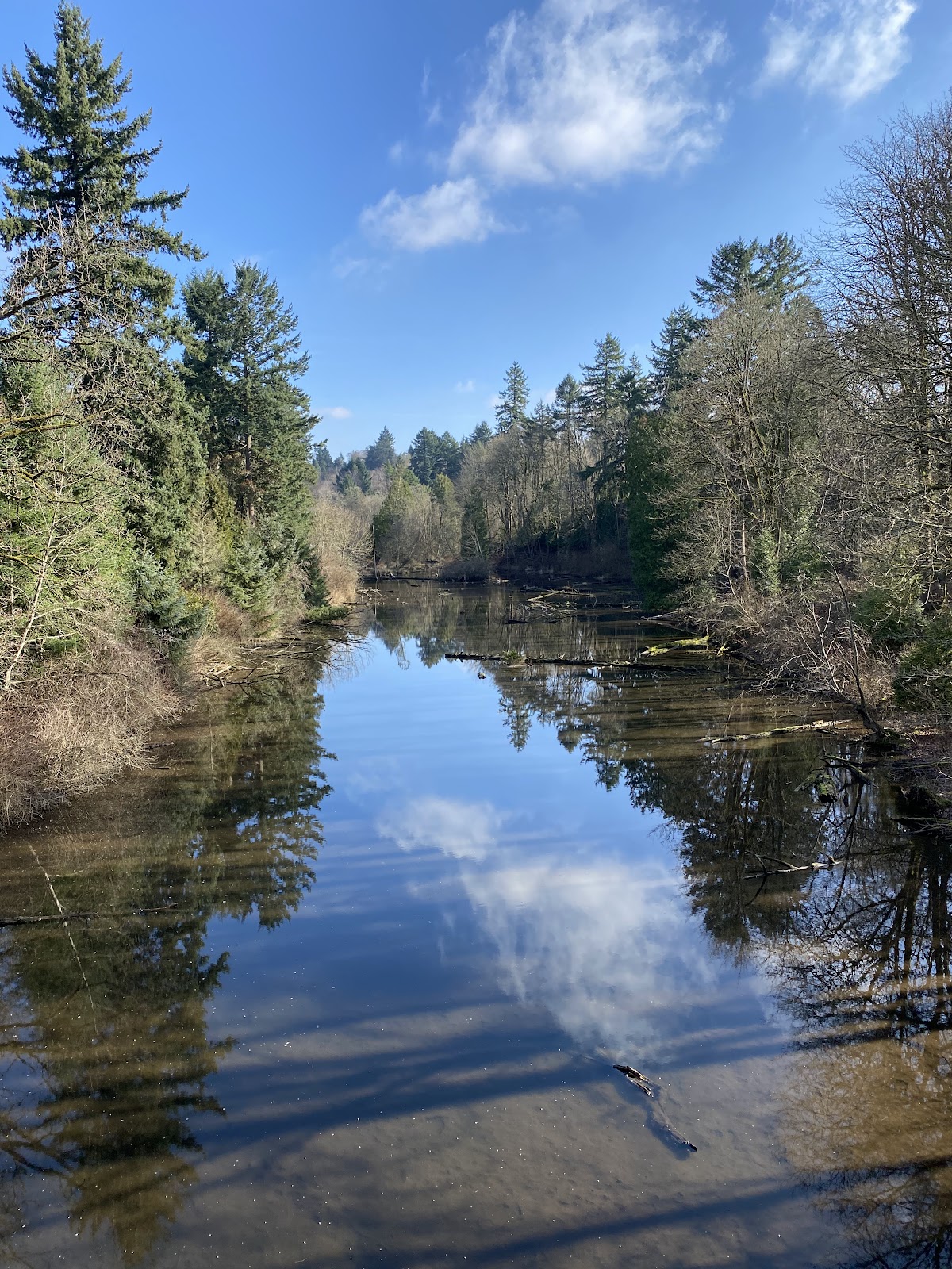 Reed College photo 8