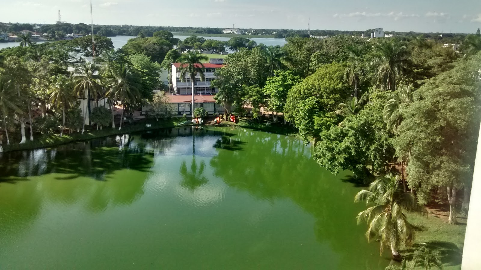 Autonomous University of Tabasco