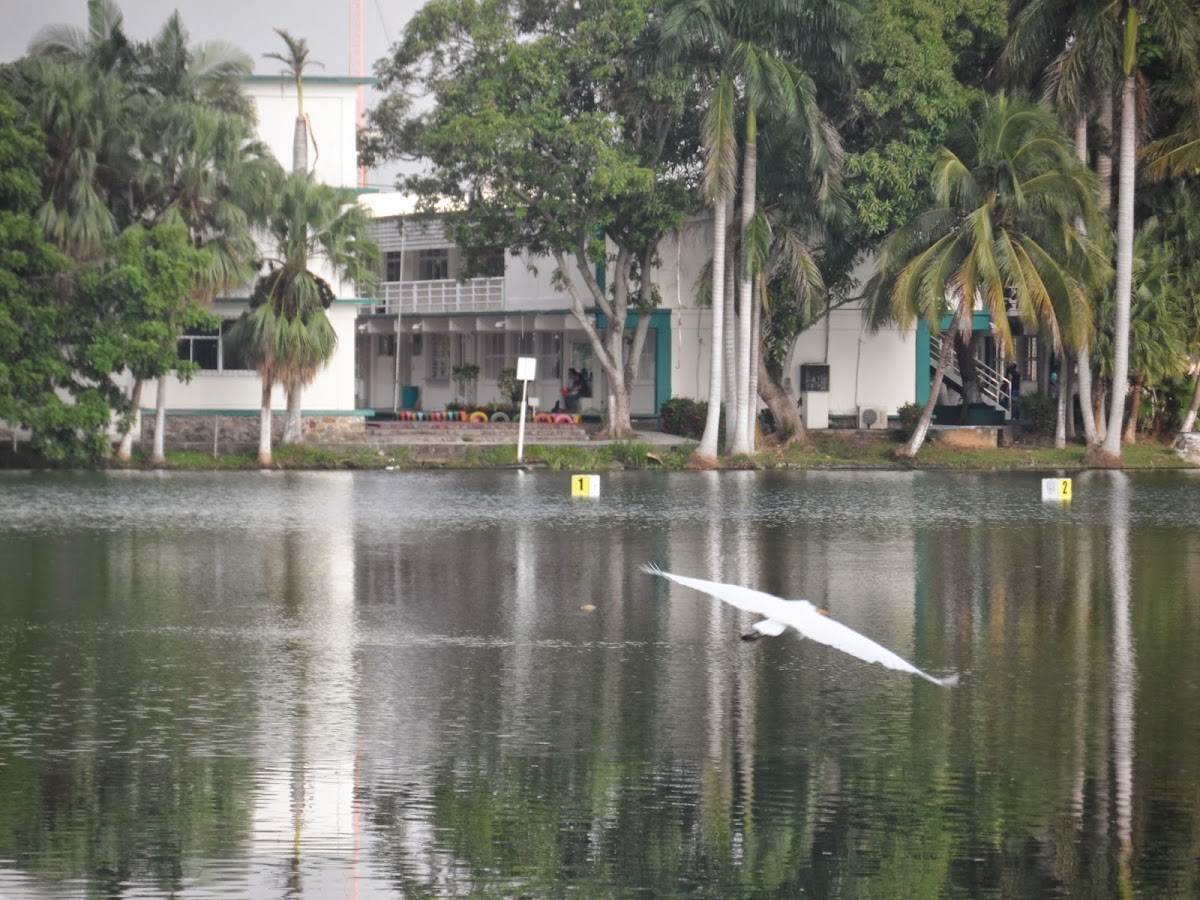 Autonomous University of Tabasco photo 3