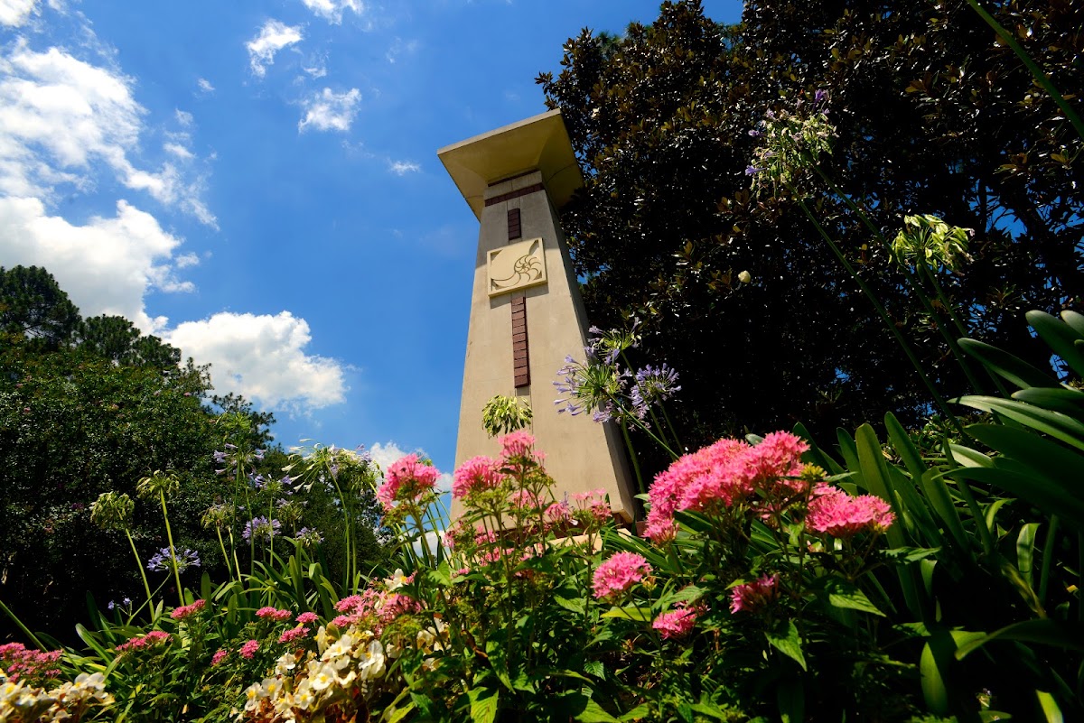 University of West Florida photo 5