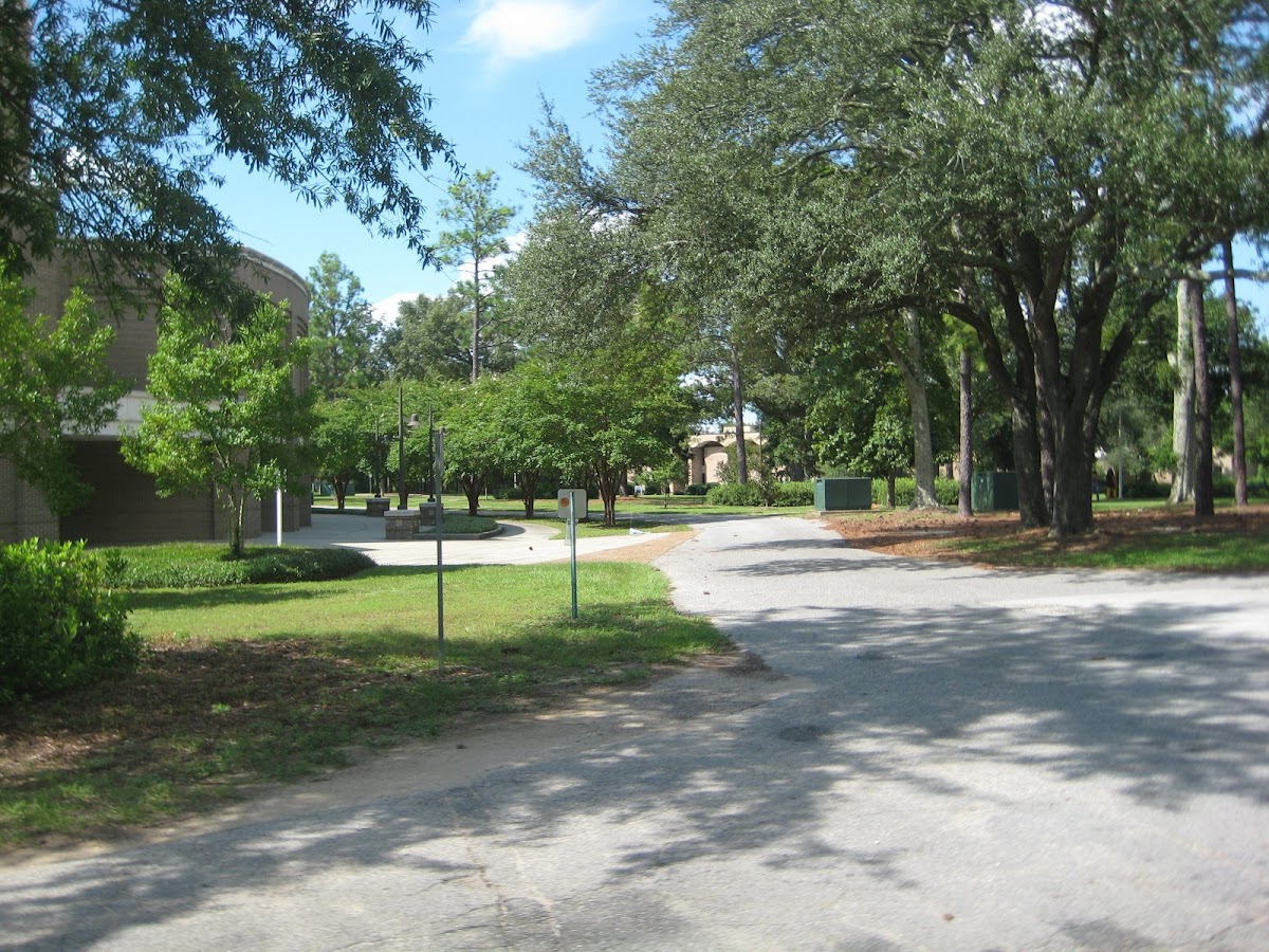 University of West Florida photo 6