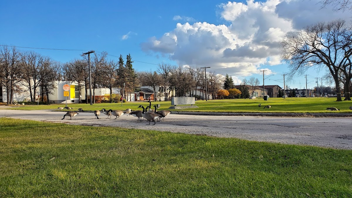 Canadian Mennonite University photo 4