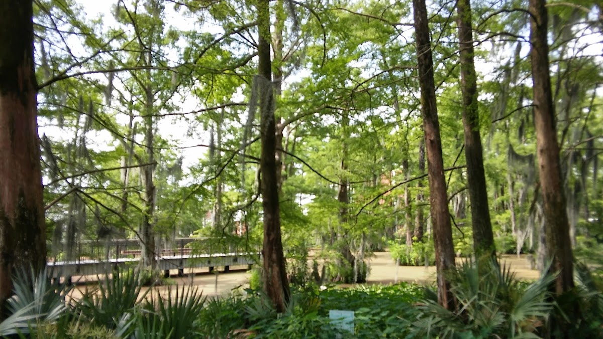 University of Louisiana Lafayette photo 2