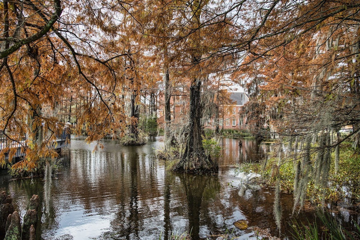 University of Louisiana Lafayette photo 4