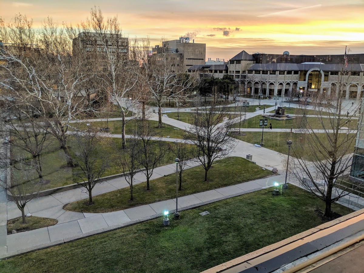 State University 3423 photo 7