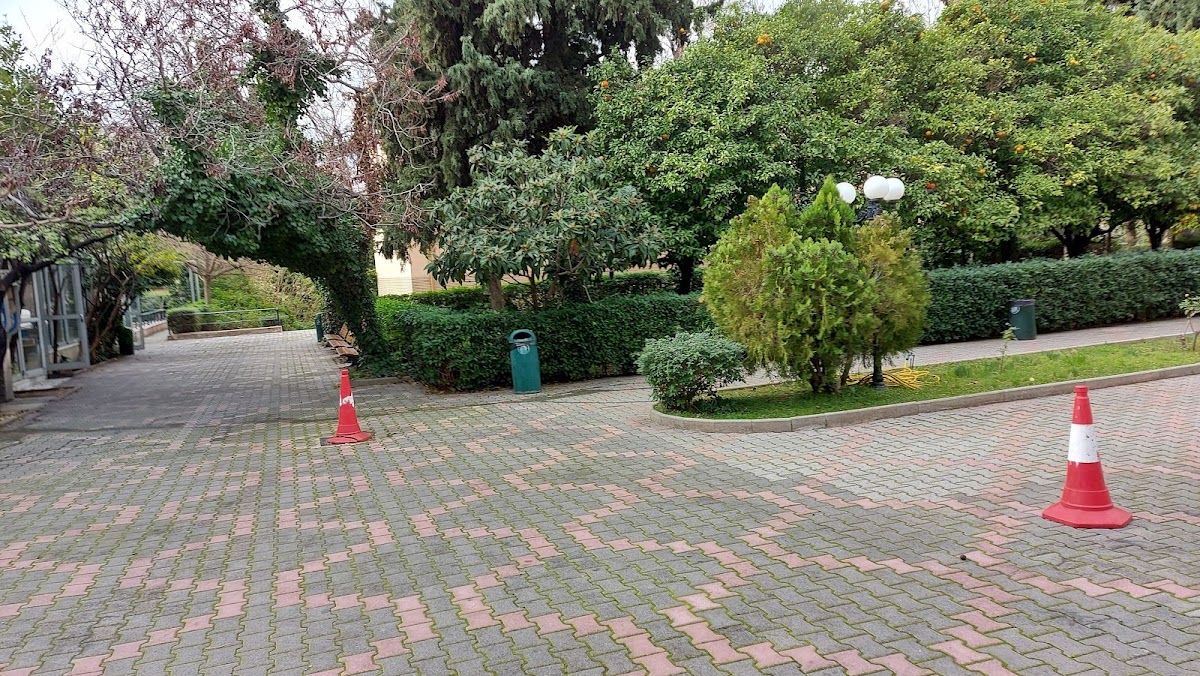 Harokopio University - Athens photo 1