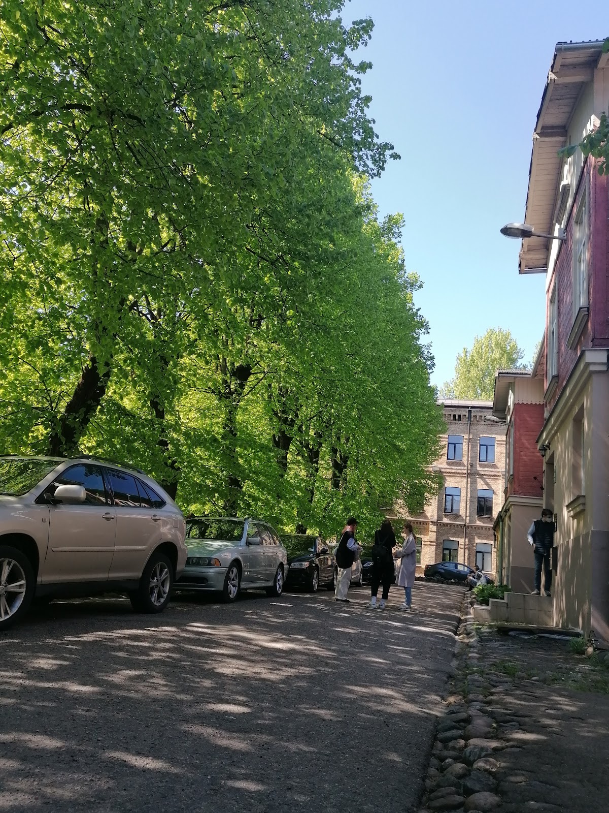 Information Systems Management Higher School photo 8