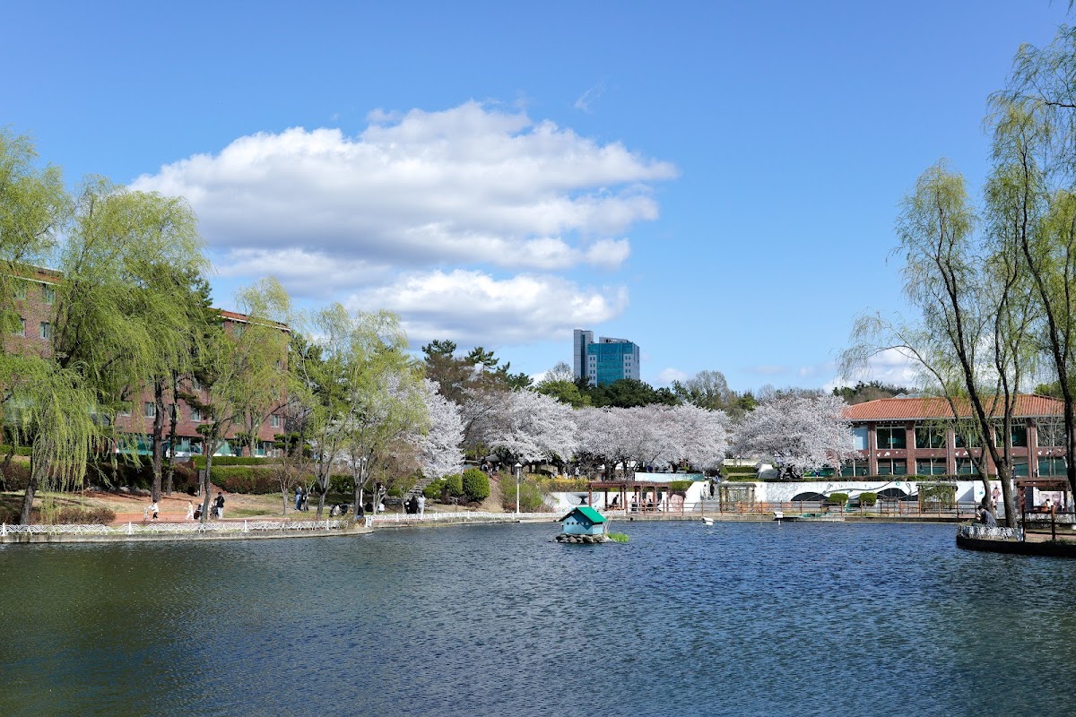 Daegu University photo 2