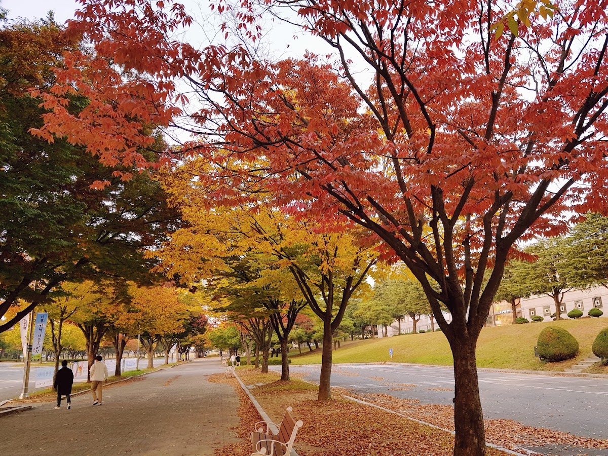 Daegu University photo 3