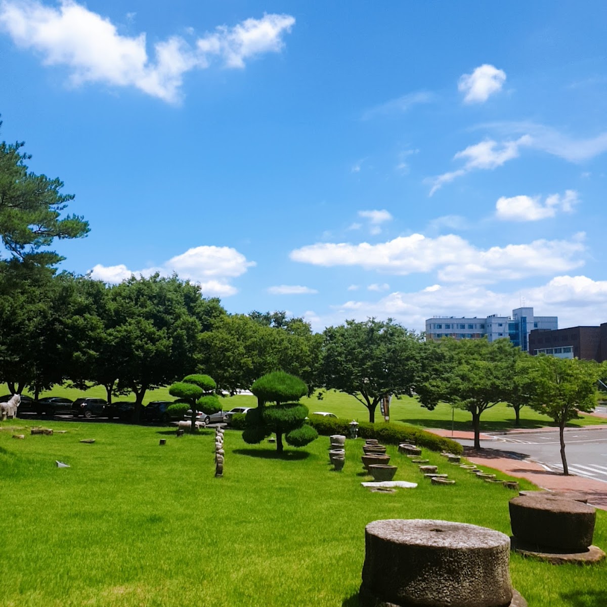 Daegu University photo 8