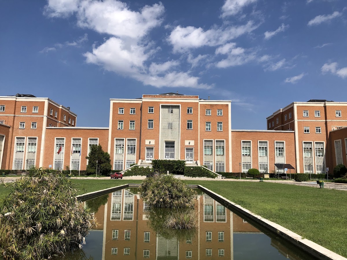 Complutense University of Madrid photo 6