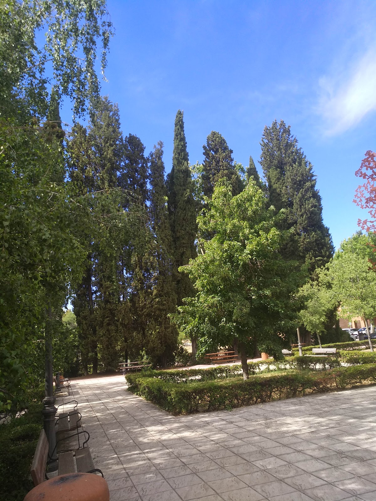 Complutense University of Madrid photo 8