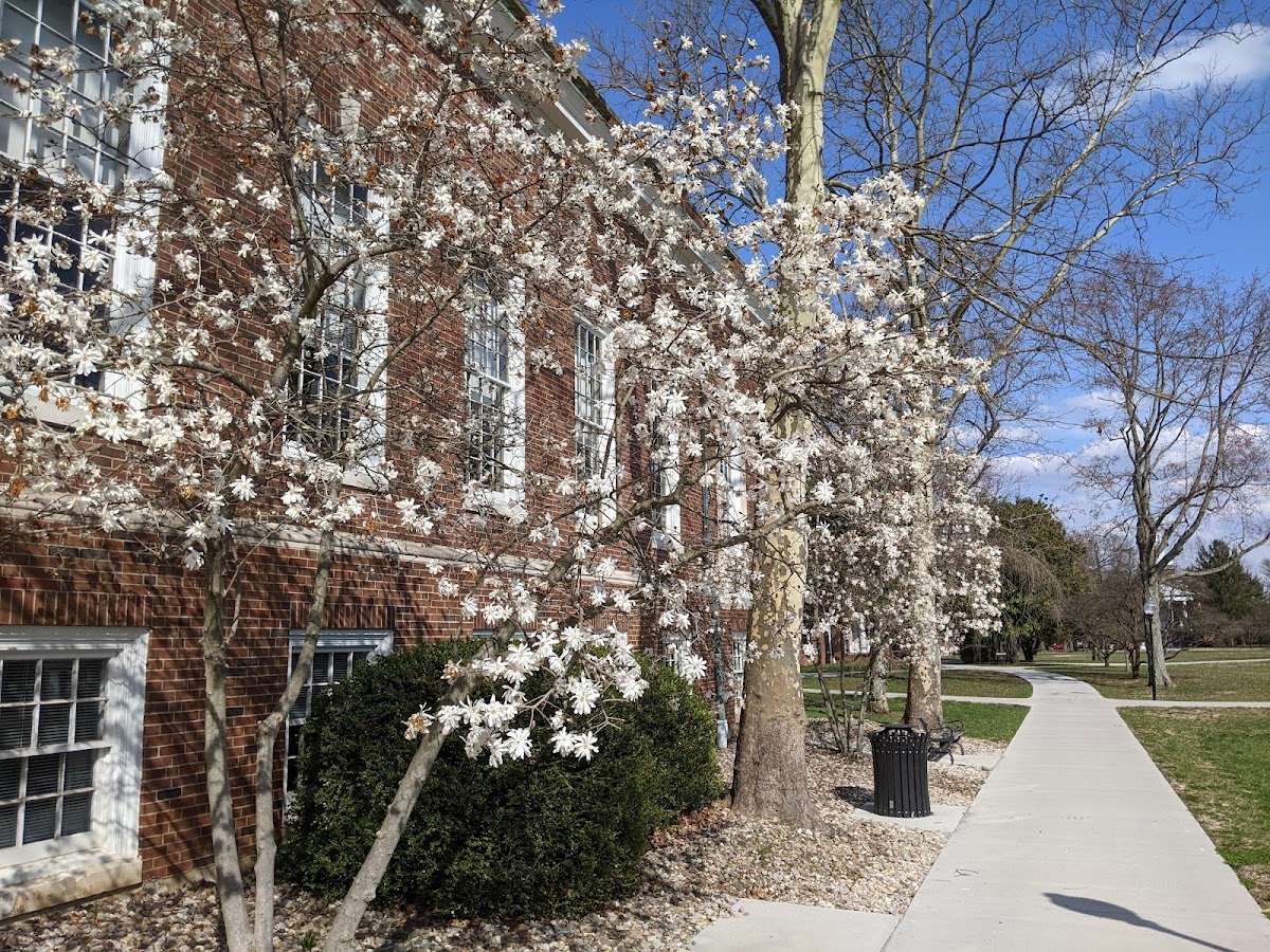 Hanover College photo 2