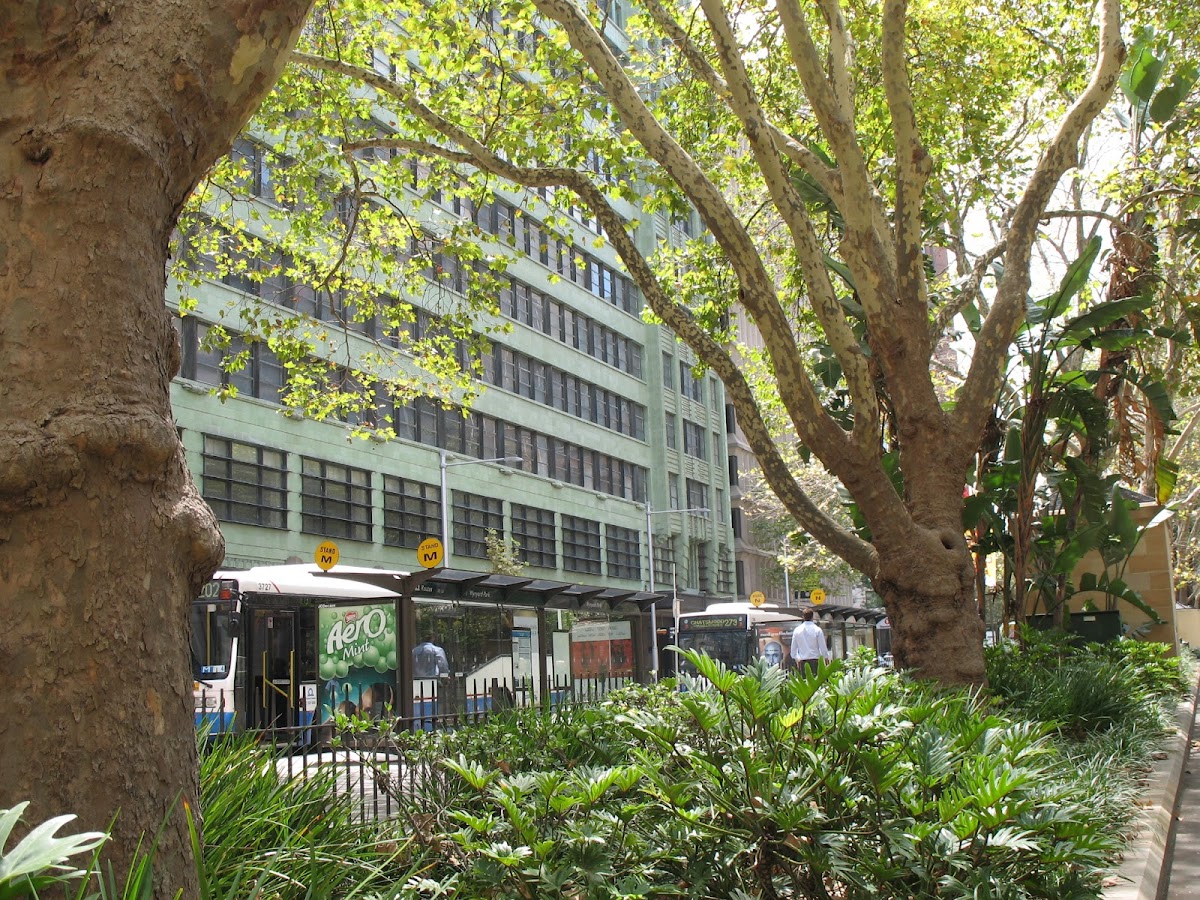 Sydney Institute of Business and Technology photo 9