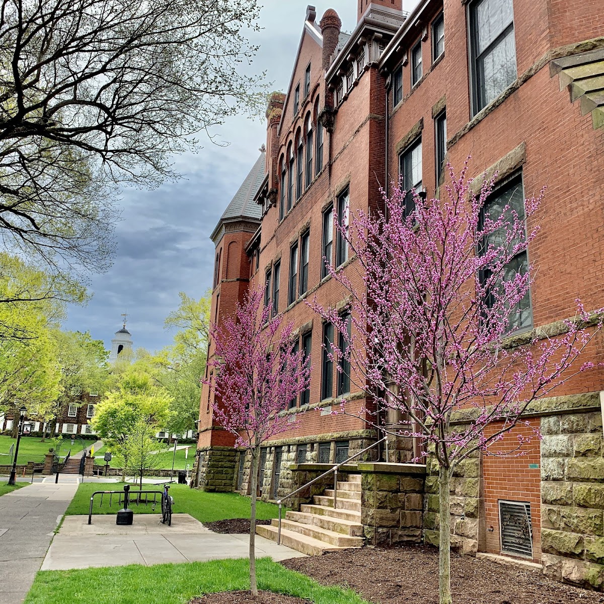 Rutgers University photo 8