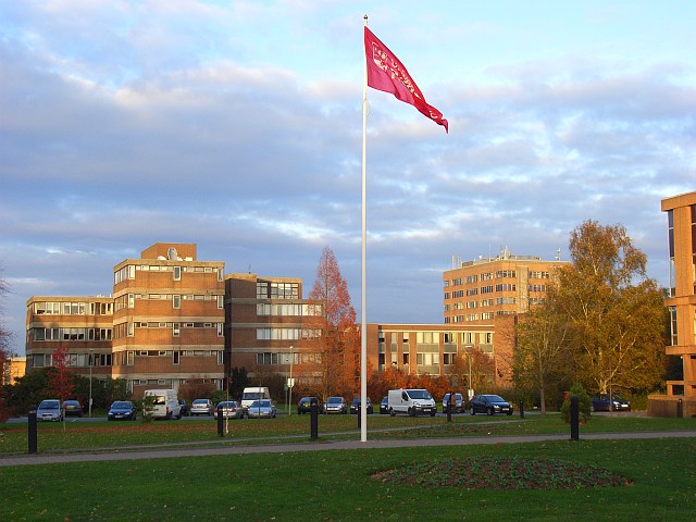 University of Reading photo 3