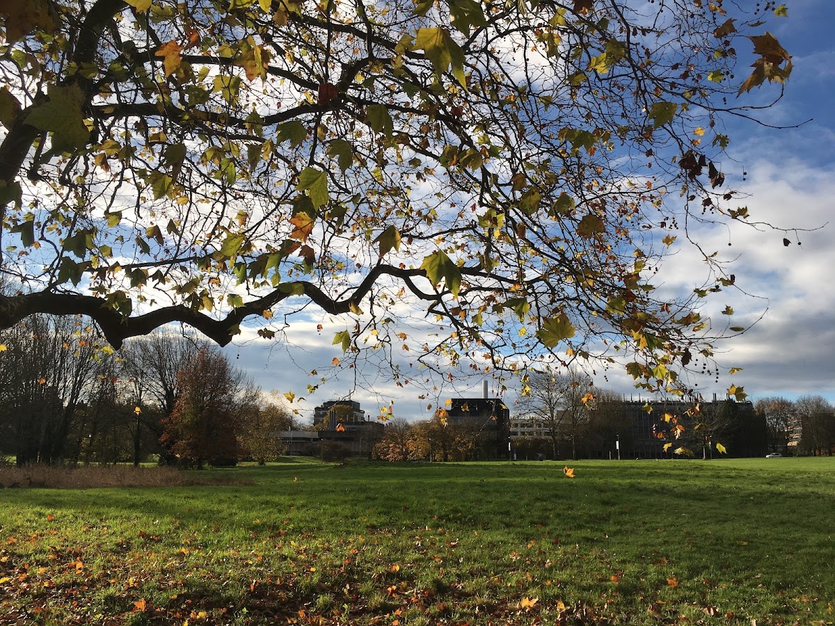 University of Reading photo 7