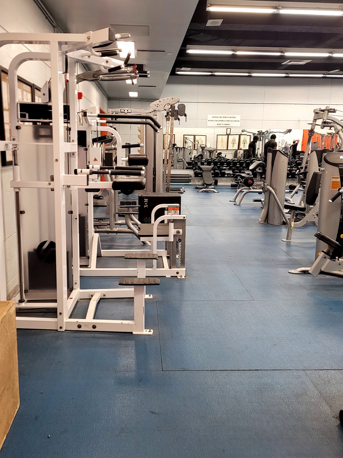 Collège du Vieux Montreal photo 9