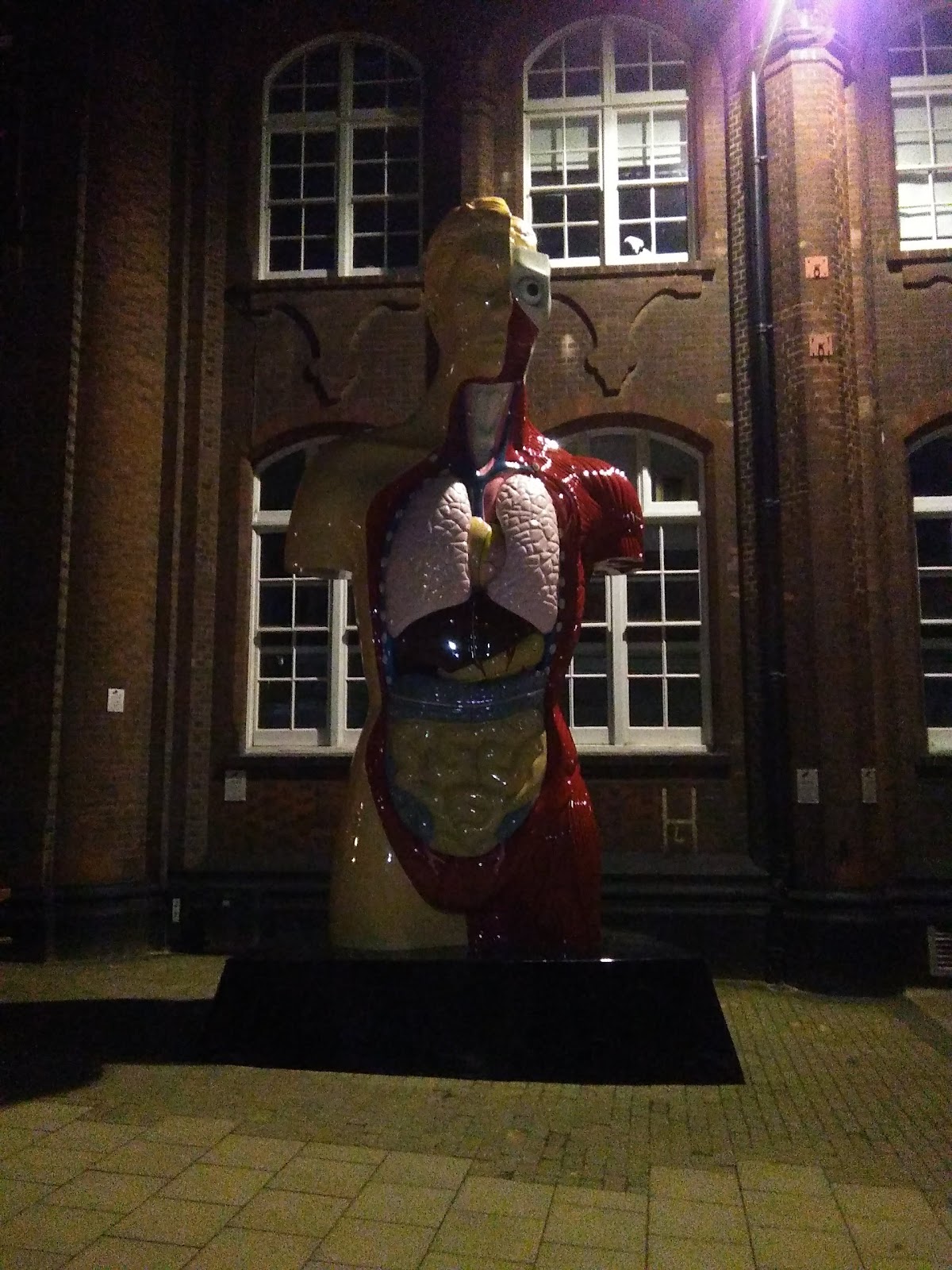 University of Norwich photo 8