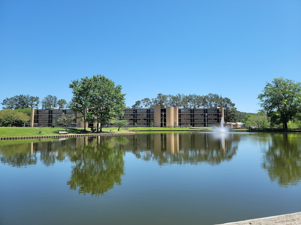 Stephen F Austin University photo 6