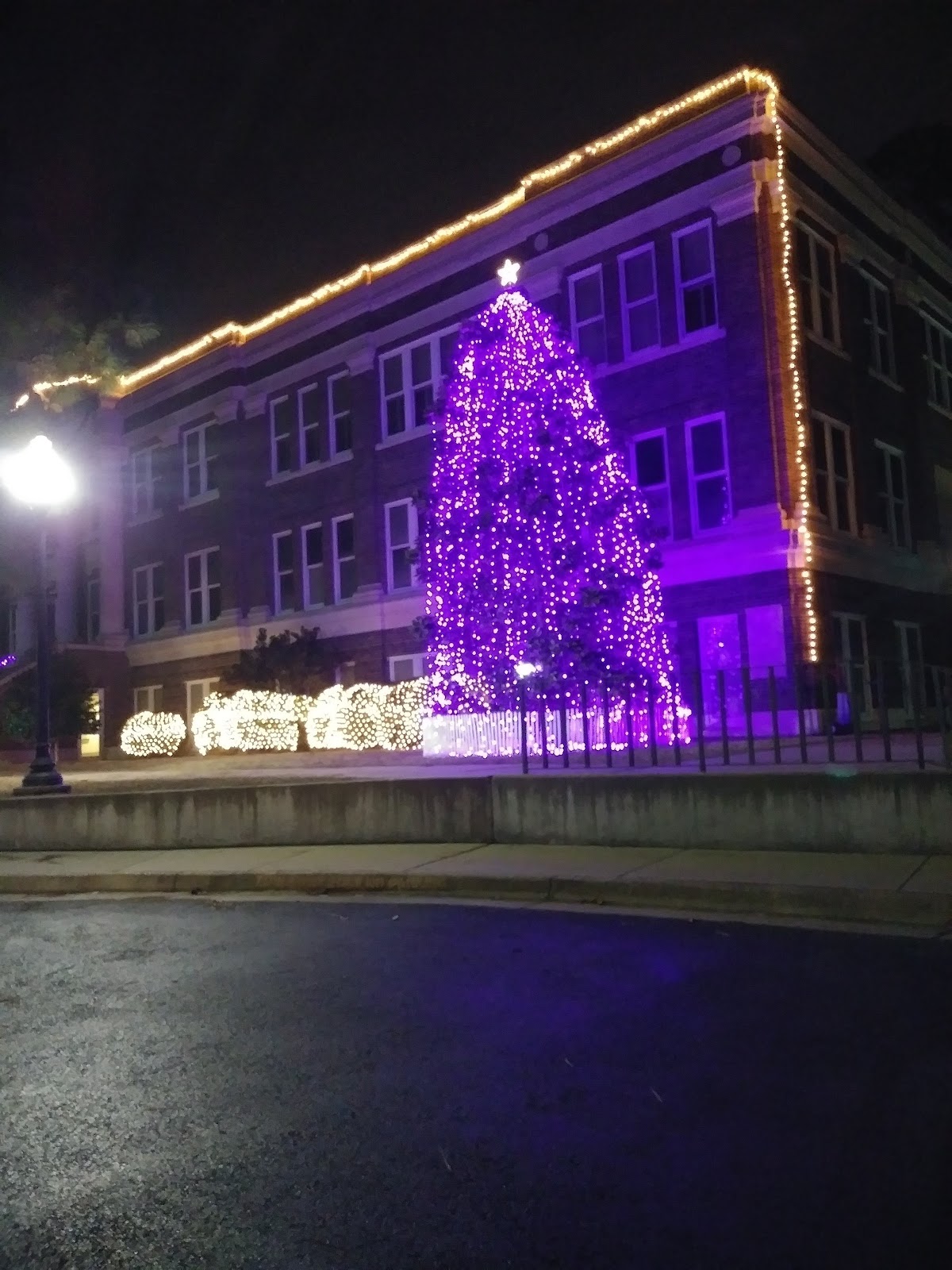 Stephen F Austin University photo 9