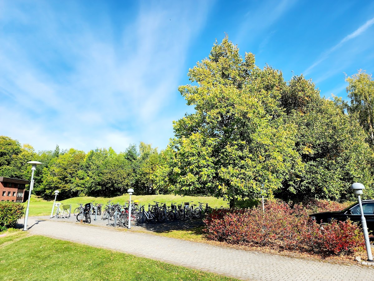 VID Specialized University photo 7