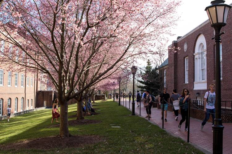 University of Delaware photo 5