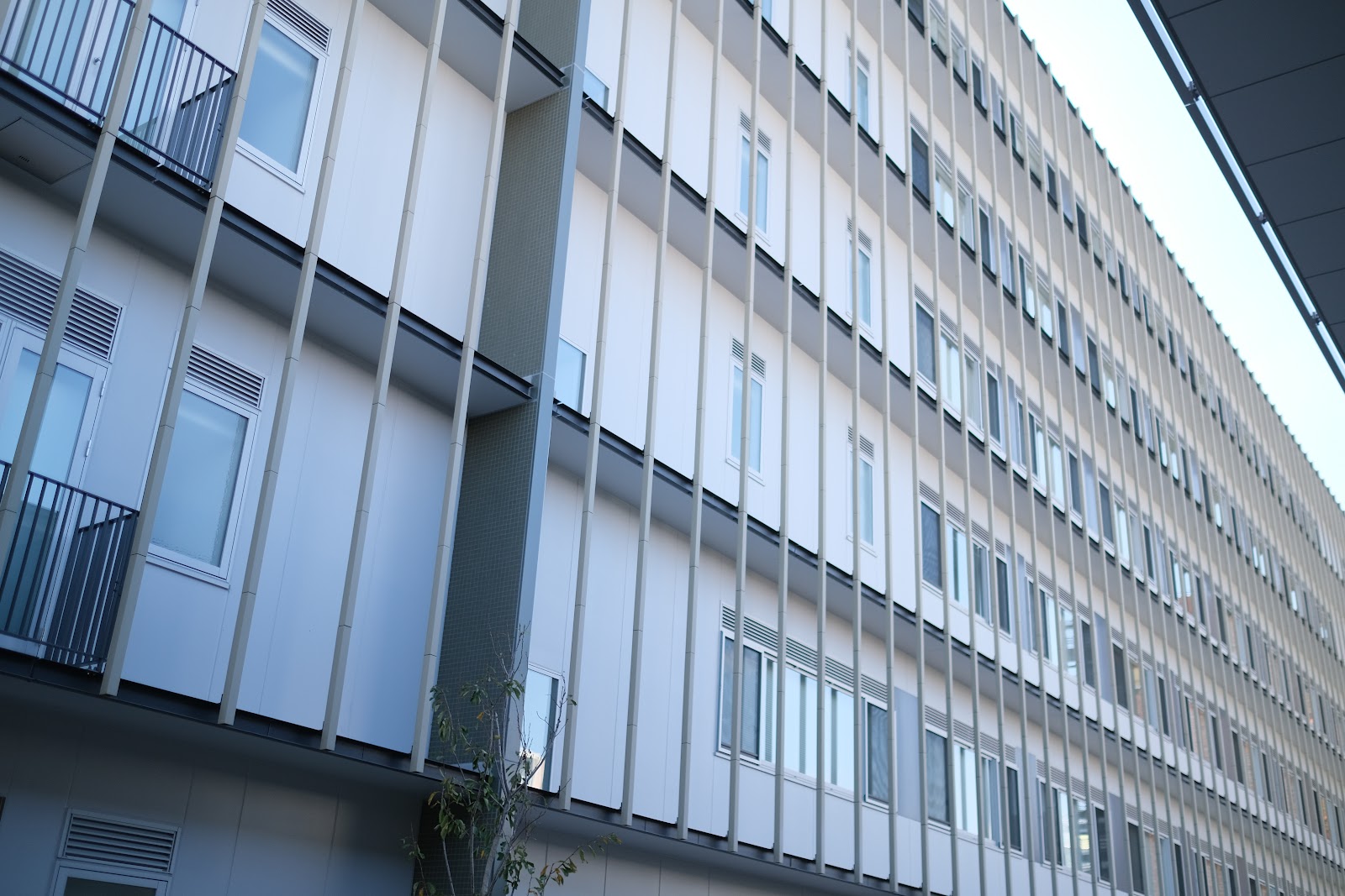 Temple University Japan Campus