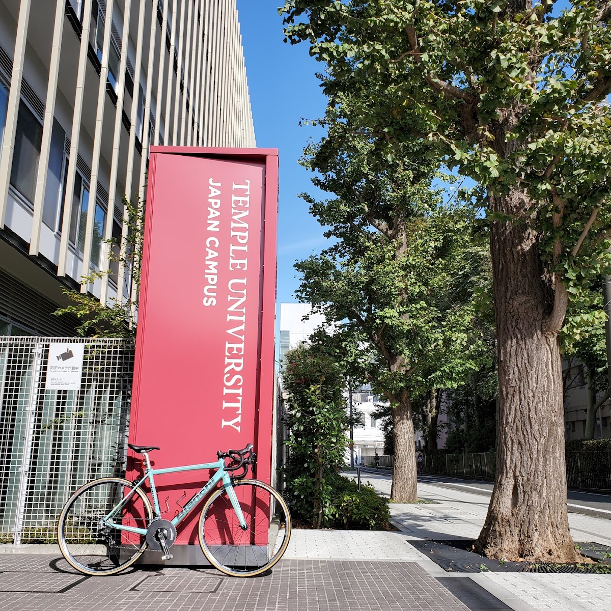 Temple University Japan Campus photo 7