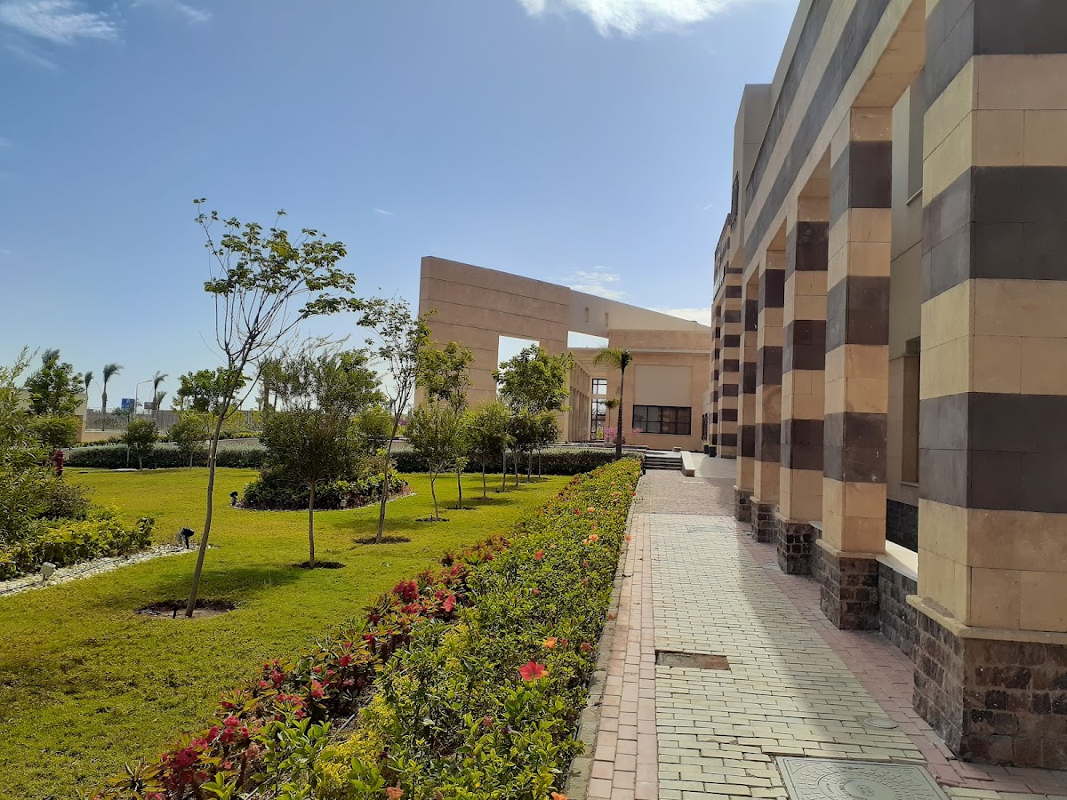 King Salman International University photo 3