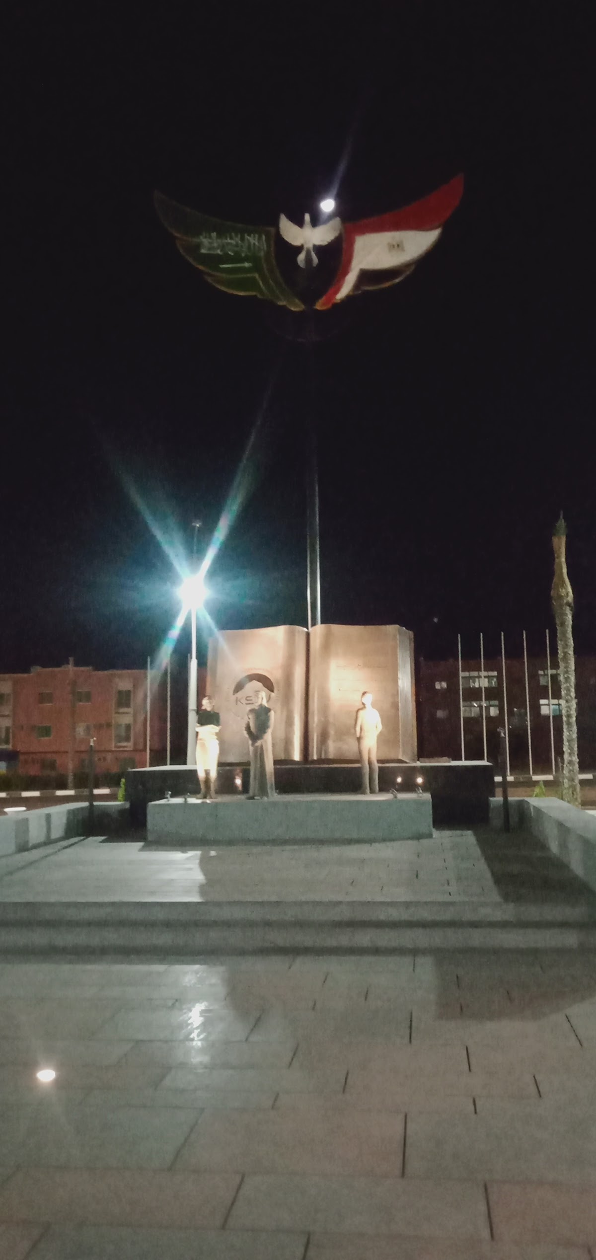 King Salman International University photo 9