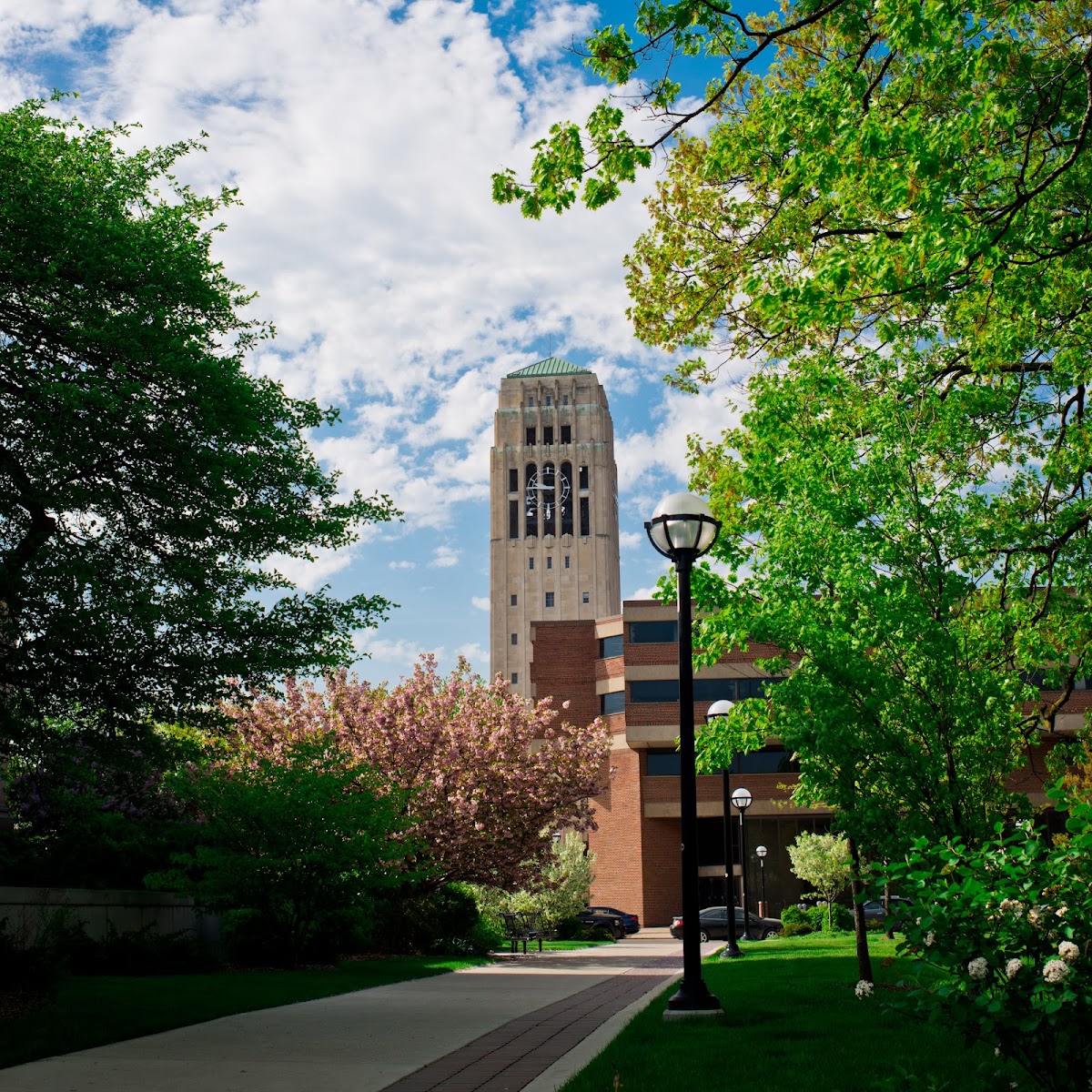 University of Michigan photo 8