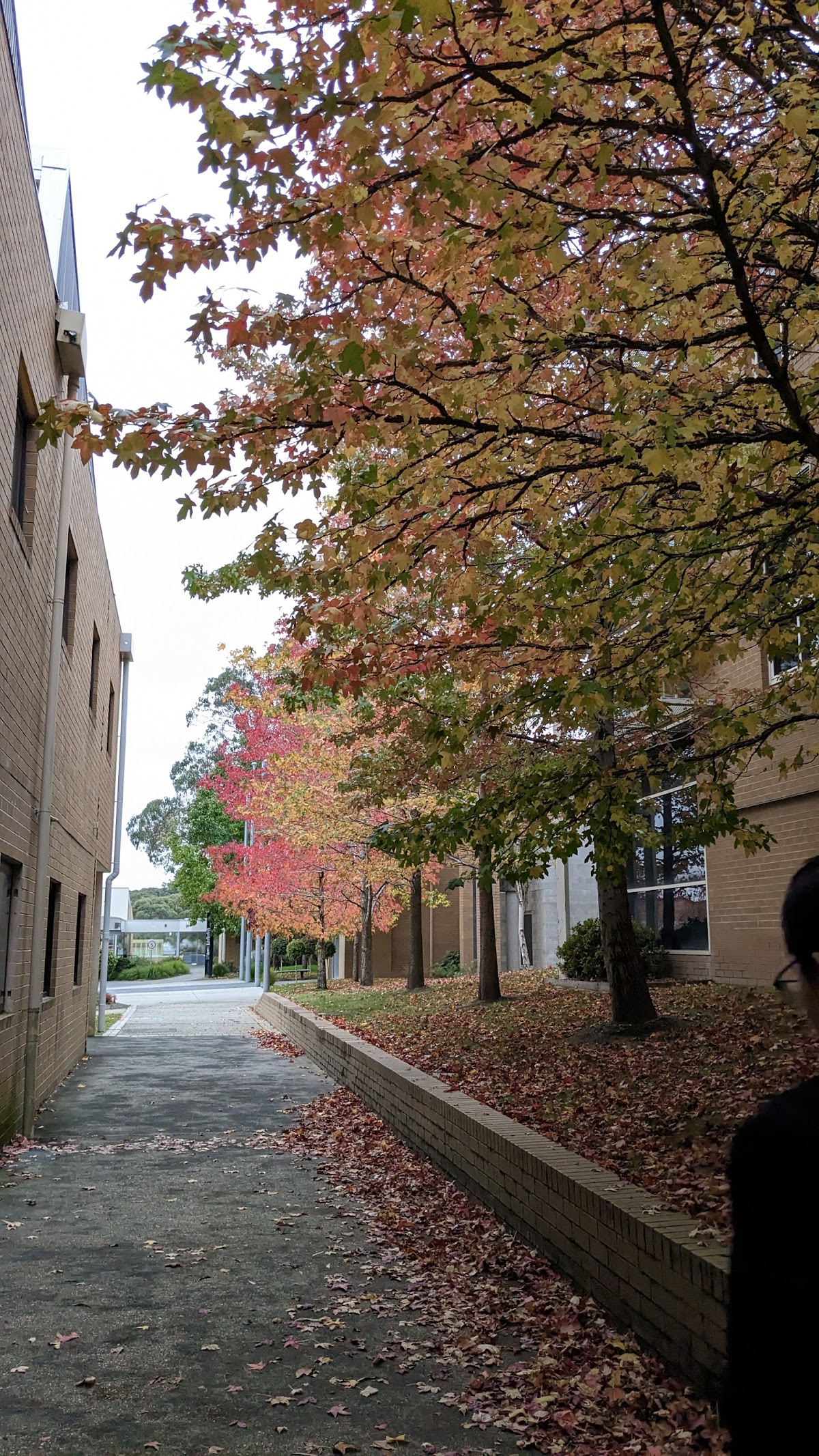 Federation University Australia photo 9