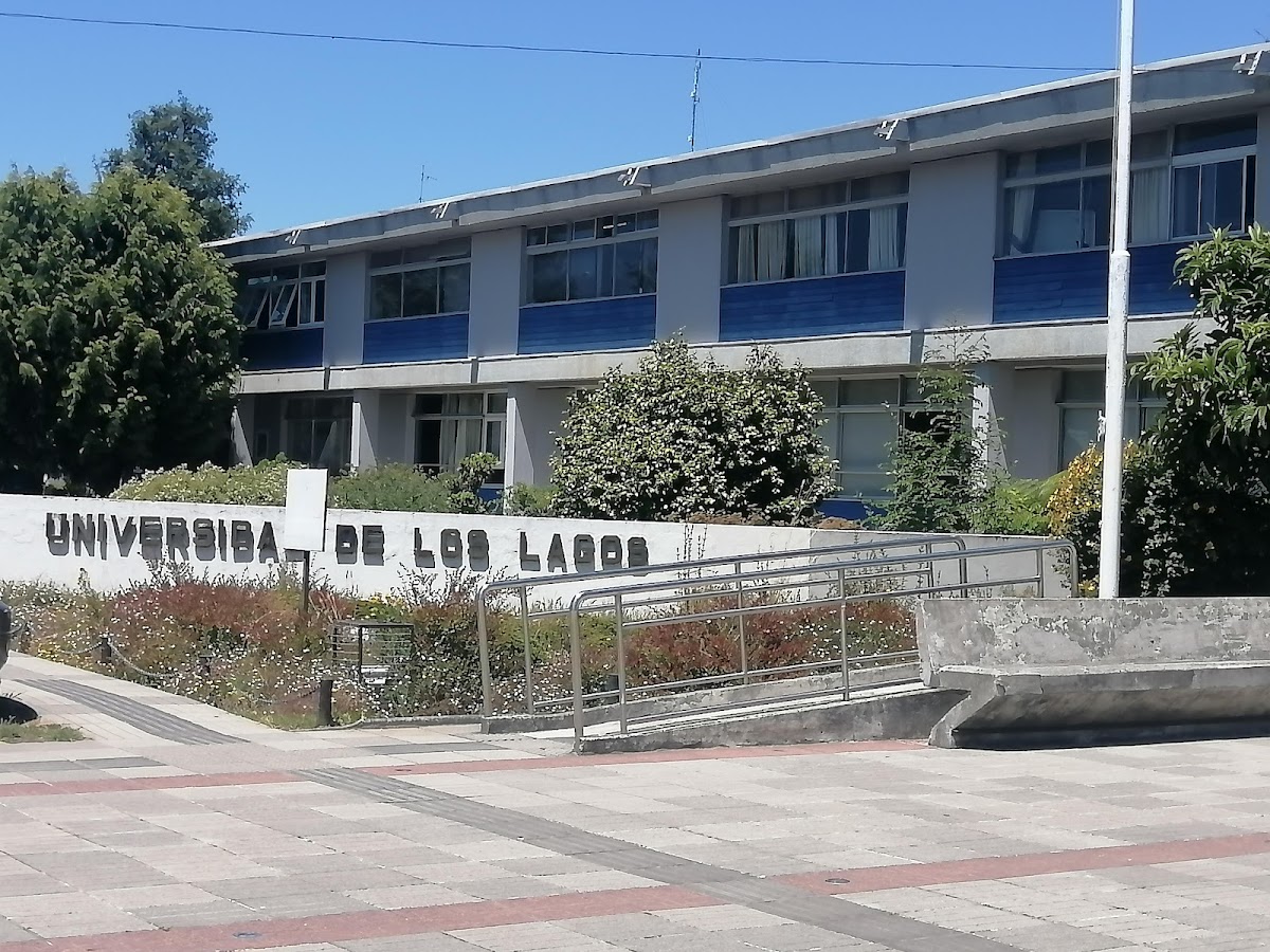 University of Los Lagos photo 2