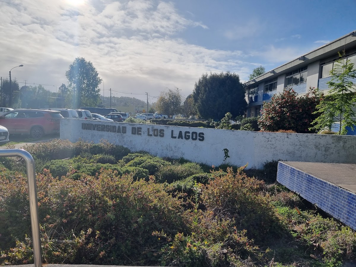 University of Los Lagos photo 3
