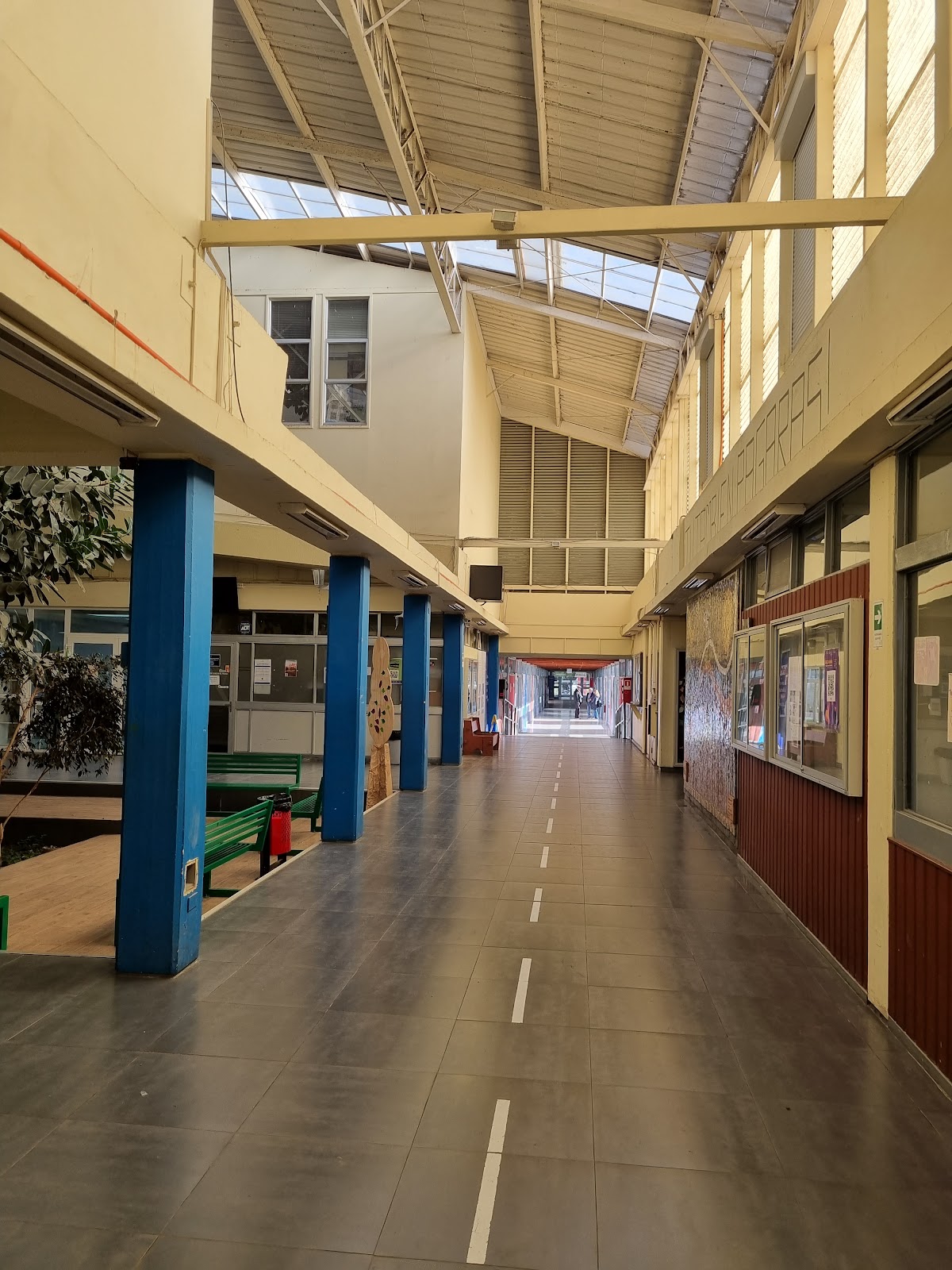 University of Los Lagos photo 5