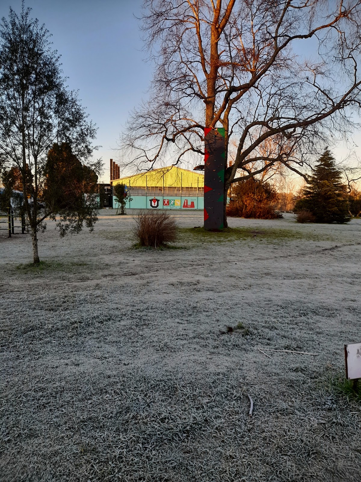 University of Los Lagos photo 6