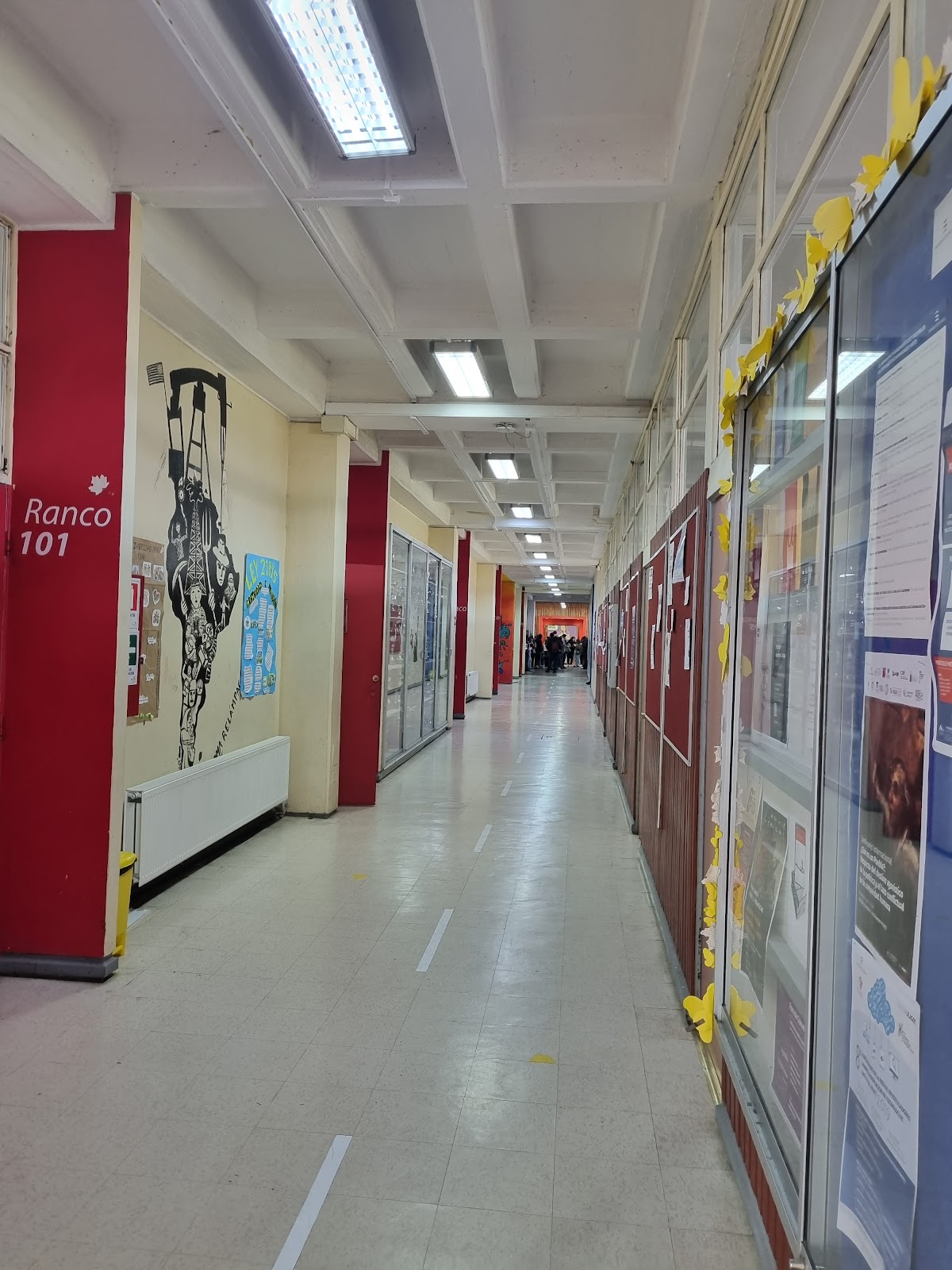 University of Los Lagos photo 8