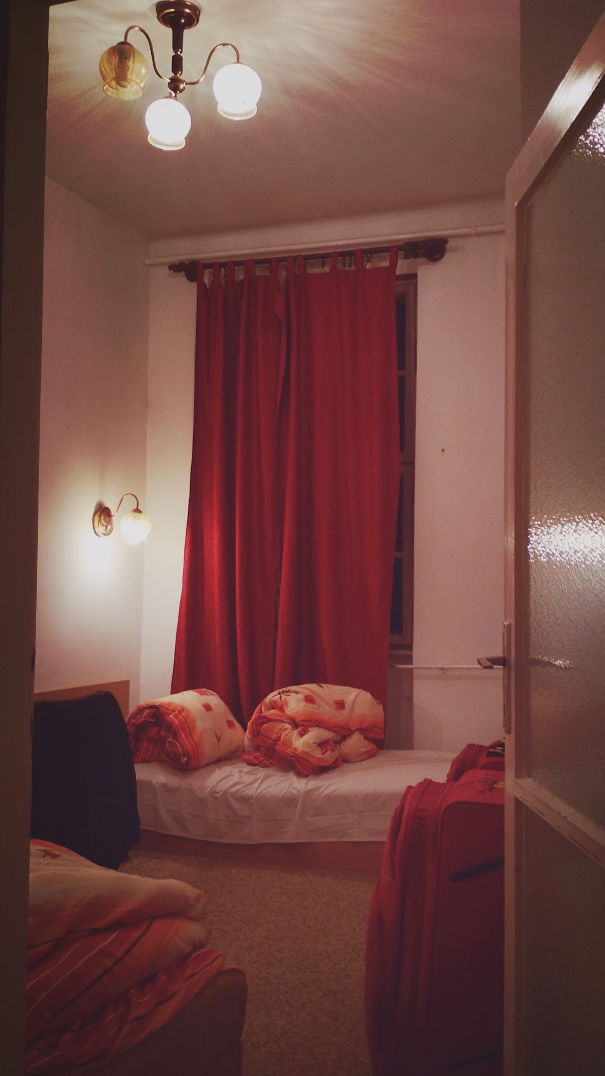 Tomori Pál College photo 9