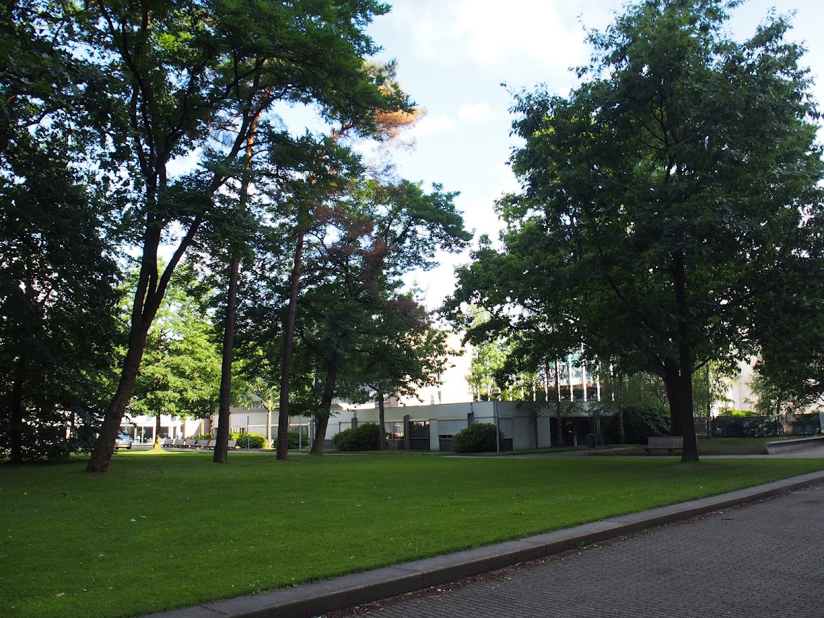 TIAS School for Business and Society photo 8