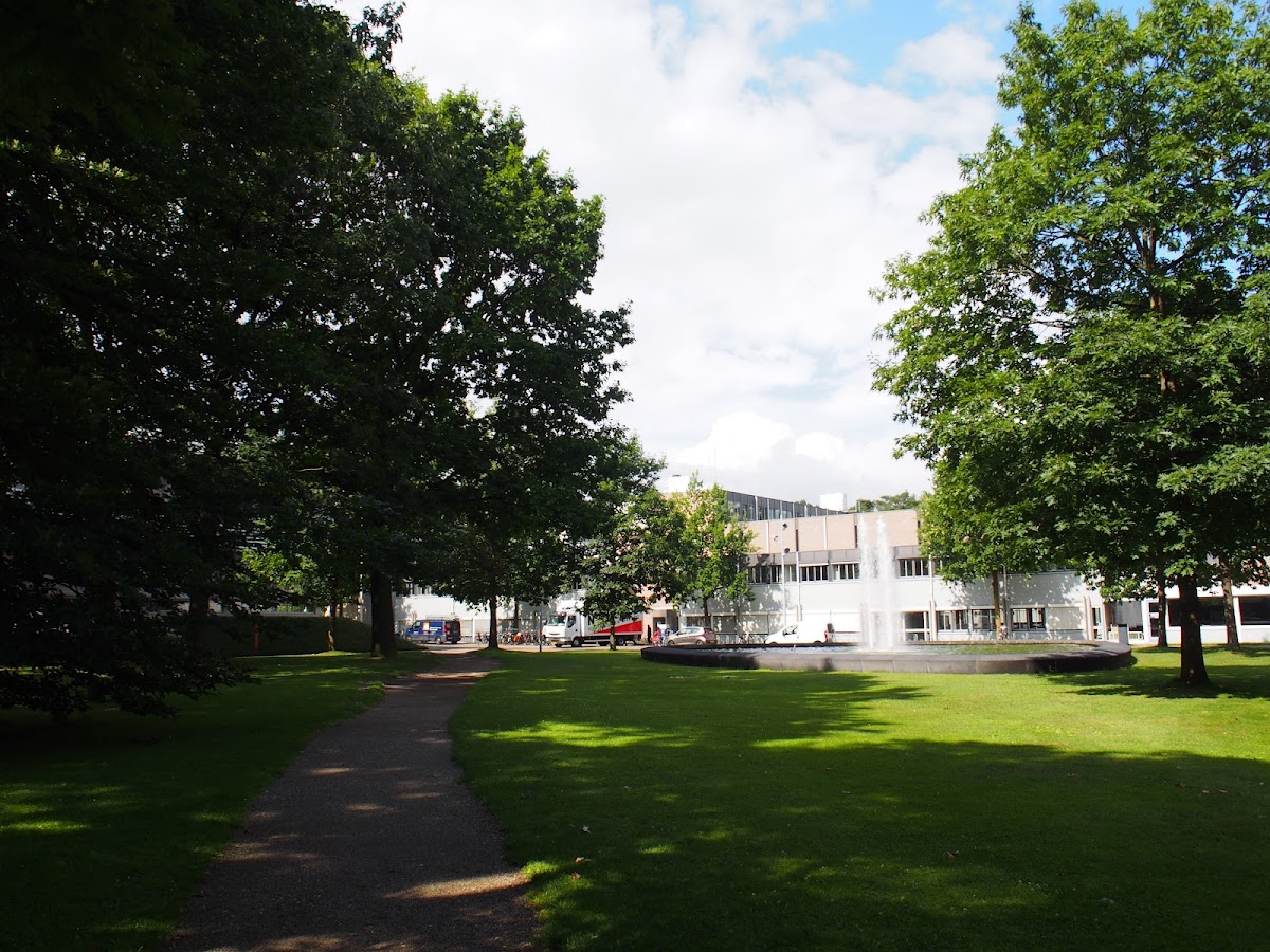 TIAS School for Business and Society photo 9