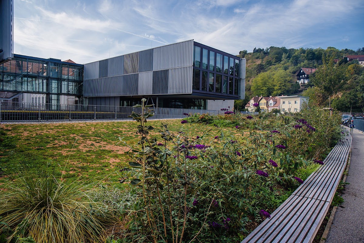 University for Continuing Education Krems photo 4