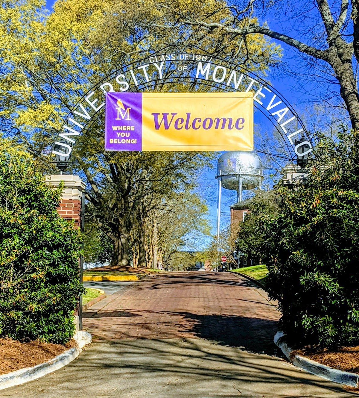 University of Montevallo photo 4