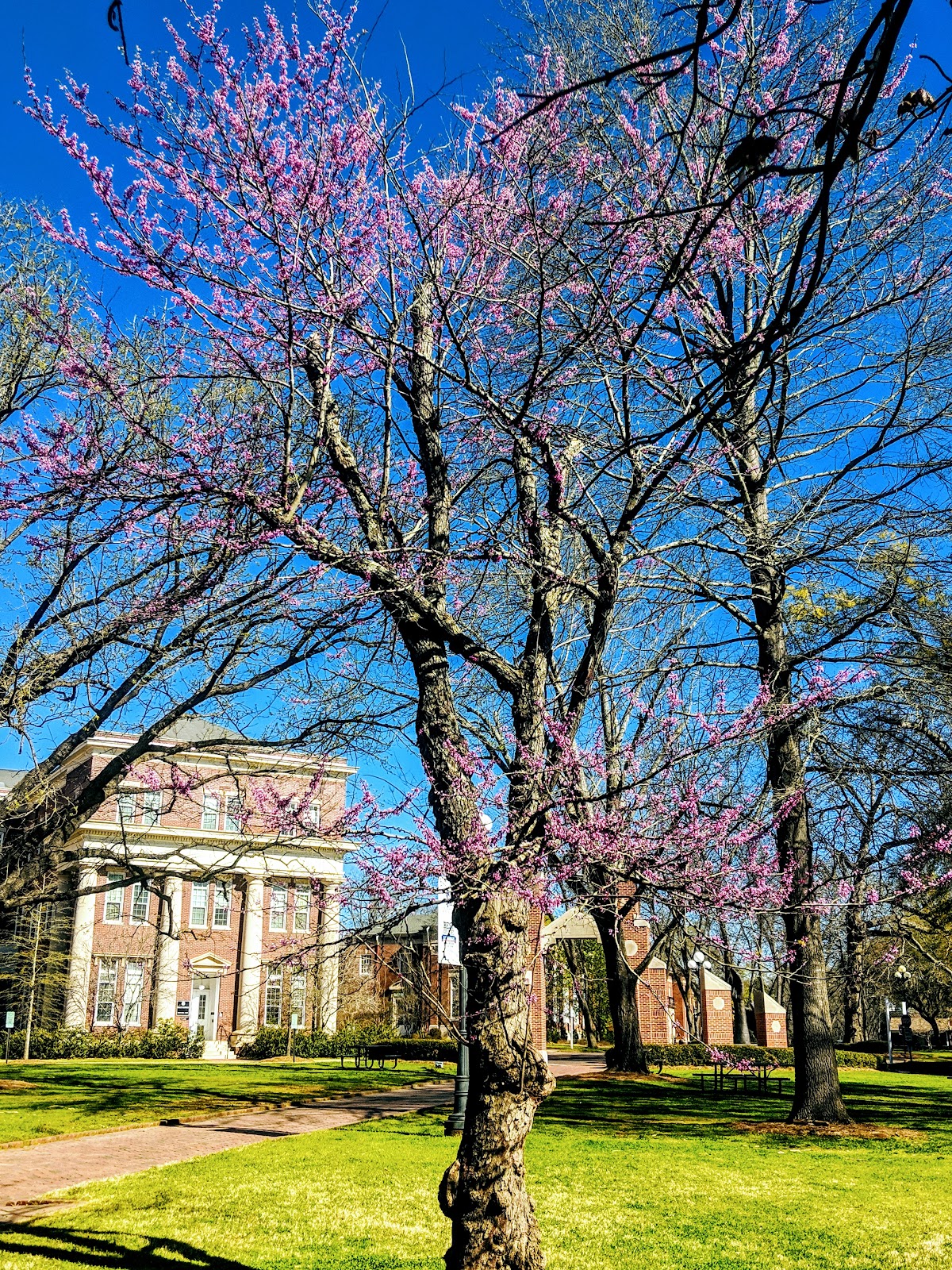 University of Montevallo photo 9