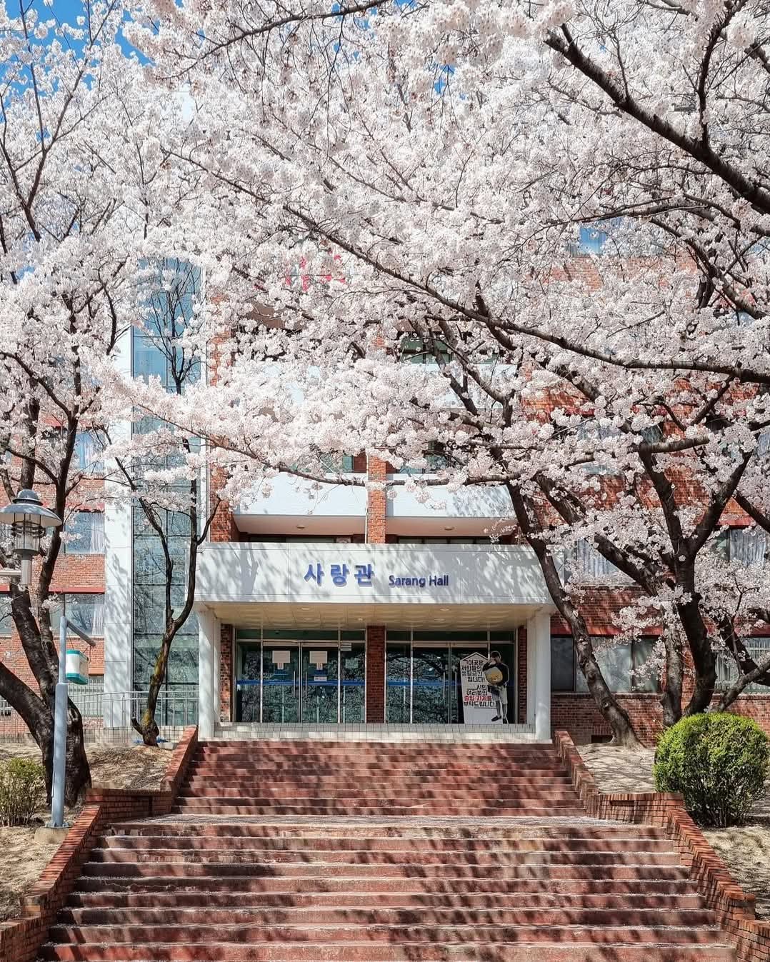 Korea Advanced Institute of Science and Technology (KAIST) photo 8