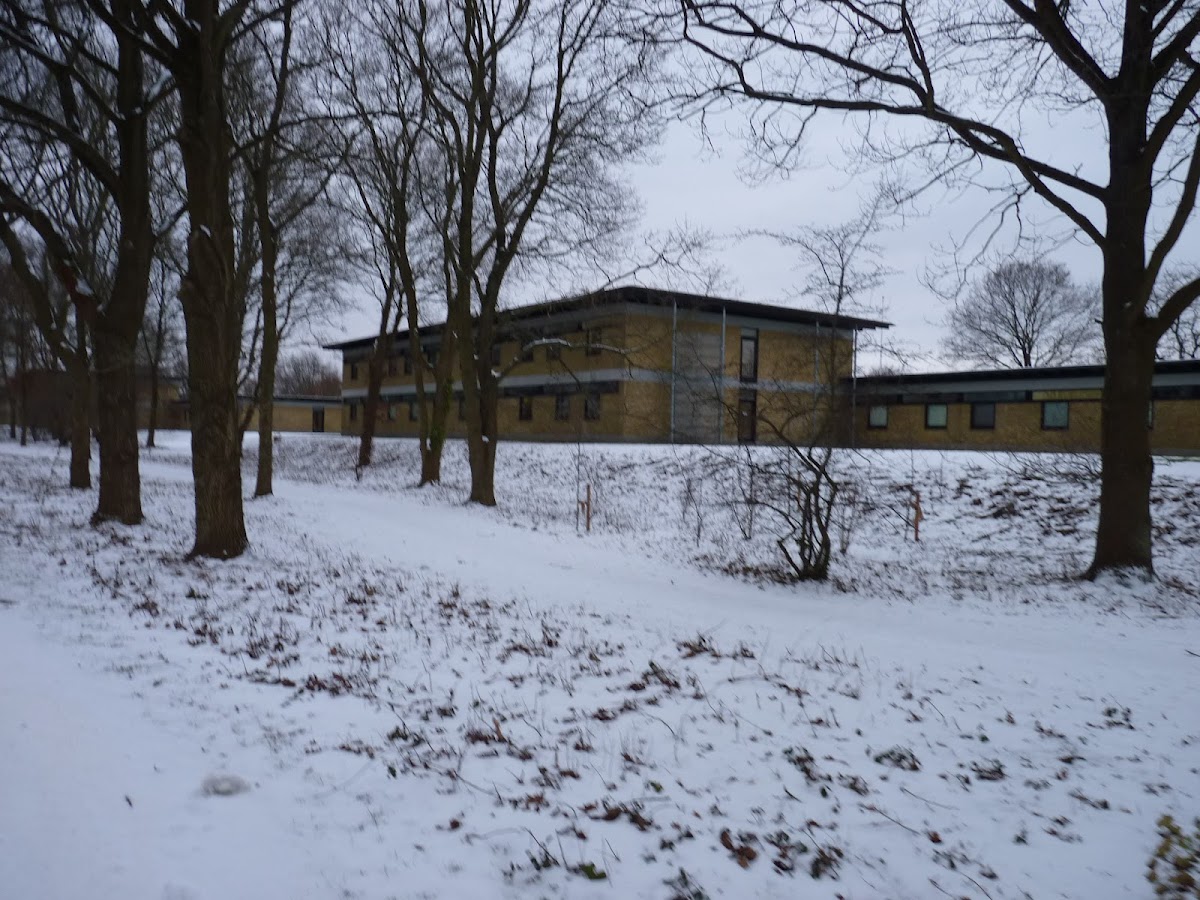 Technical University of Denmark photo 5