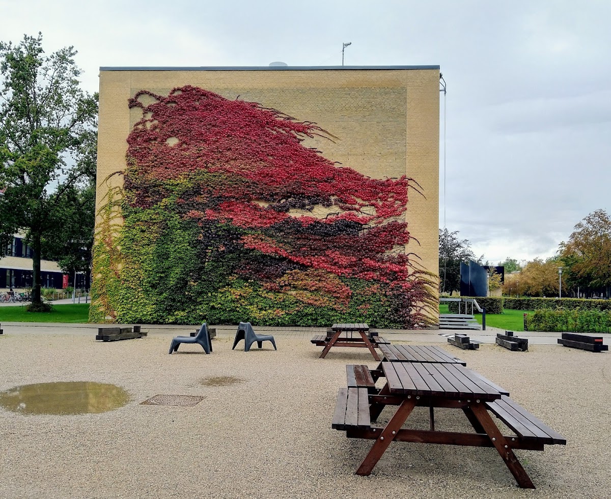 Technical University of Denmark photo 6