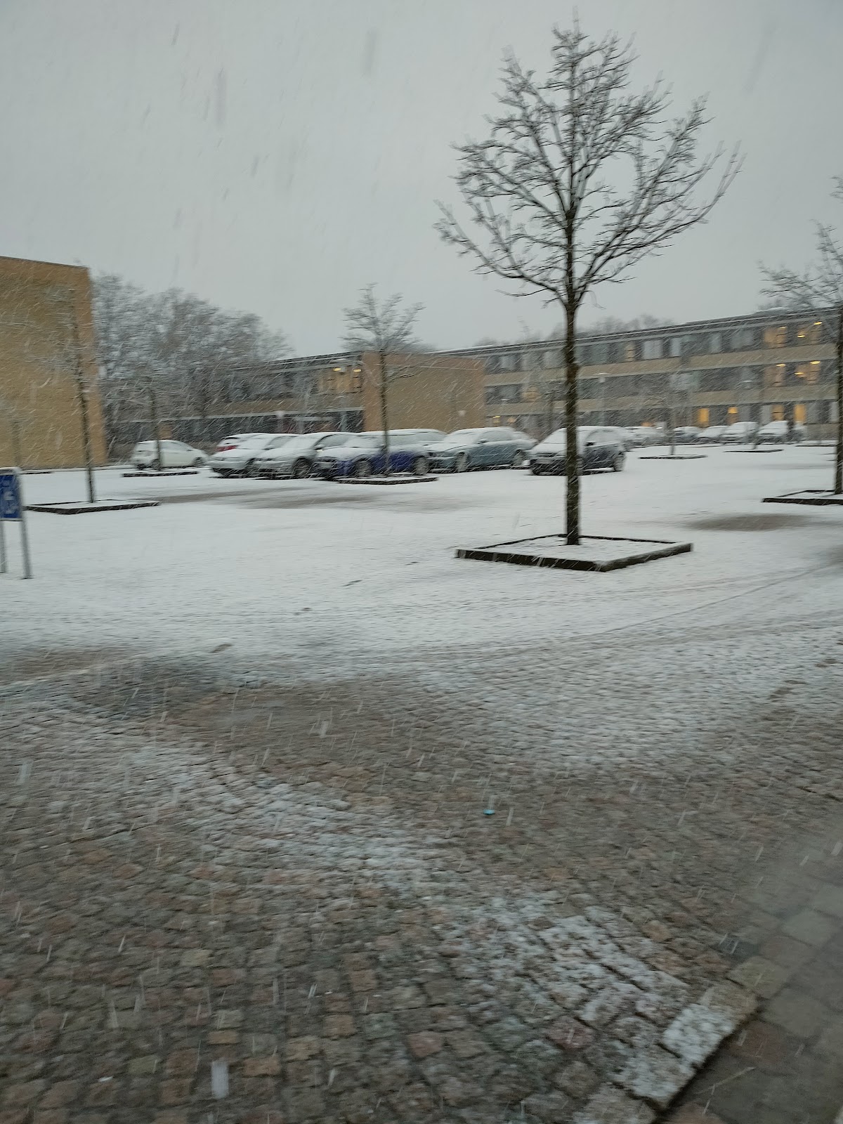 Technical University of Denmark photo 7